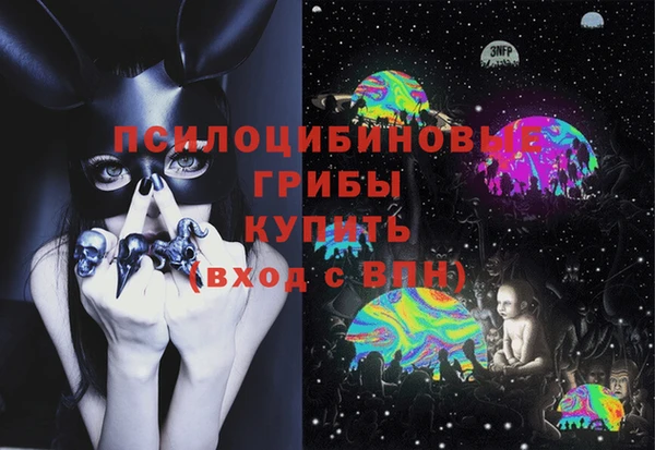 круглые Алзамай