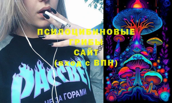 круглые Алзамай