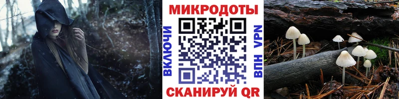 blacksprut онион  Чёрмоз  Псилоцибиновые грибы Cubensis 